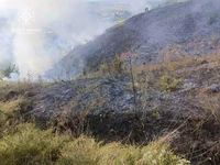 У Золочівському районі вогнеборці ліквідували пожежу сухостою