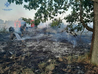 Броварський район: під час гасіння пожежі трав’яного настилу виявлено травмованого чоловіка