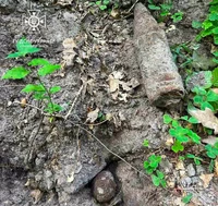 Поблизу Радехова під час збирання грибів натрапляли на небезпечні знахідки