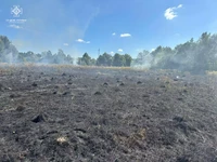 Упродовж доби вогнеборці області ліквідували 9 загорянь сухої рослинності на загальній площі майже 11 га