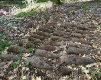 Поблизу Радехова в лісі натрапили на склад застарілих боєприпасів