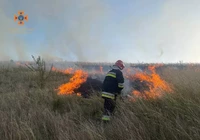 Кіровоградська область: вогнеборці приборкали 12 займань на відкритих територіях