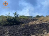 За минулу добу на території області рятувальники ліквідували 11 пожеж в екосистемах
