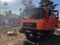 Київська область: за добу більше 35 пожеж в природних екосистемах