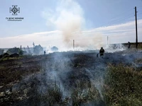 Миколаївська область: за чергову добу вогнеборці ліквідували 25 пожеж в екосистемах