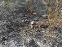 Упродовж доби вогнеборці ліквідували 20 загорянь у природних екосистемах Житомирщини