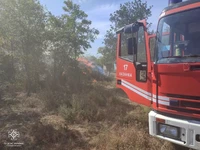 Протягом доби рятувальники ліквідували 4 пожежі на території приватного житлового сектору