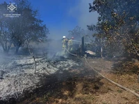 Миколаївська область: вогнеборці ліквідували 12 пожеж в екосистемах та одну на території полігону твердих побутових відходів
