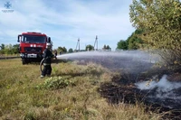 Житомирська область: за минулу добу сталося шістнадцять загоряння сухої трави