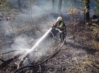 Фастівський район: рятувальники ліквідували загорання трав'яного настилу