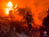 Білоцерківський район: рятувальники ліквідували загоряння вантажного автомобіля