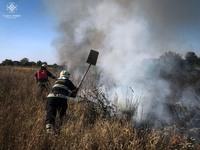 Київська область: рятувальники ліквідовують пожежі в екосистемах