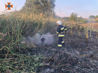 Бійці ДСНС ліквідували 9 загорянь в природних екосистемах