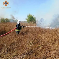 За добу вогнеборці загасили 22 пожежі в екосистемі