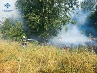 Бориспільський район: ліквідовано загорання сухостою та чагарників