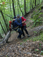 Гірські рятувальники надавали допомогу чоловіку, який травмувався під час збирання грибів