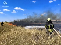 У Черкасах триває ліквідація масштабної пожежі сухої рослинності