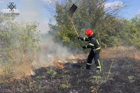 На Дніпропетровщині протягом доби ліквідовано 30 пожеж в екосистемах