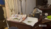 Виготовляв канабіс на продаж та надавав вдома приміщення клієнтам для його вживання: поліцейські викрили 46-річного жителя Ізмаїла у незаконних оборудках з наркотичними засобами