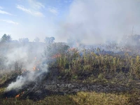 За минулу добу вогнеборці Рівненщини ліквідували три загоряння сухої трави та чагарників