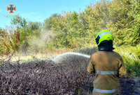 Кременчук: рятувальники загасили займання сухої рослинності