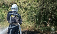 Обухівський район: вогнеборці ліквідували загорання на відкритій території