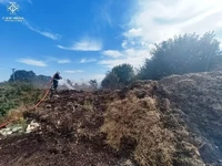 Кіровоградська область: рятувальники ліквідували 12 пожеж сухої трави на відкритих територіях