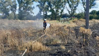 Броварський район: рятувальники ліквідували загоряння трав'яного настилу