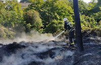 Бійці ДСНС ліквідували 10 пожеж в екосистемах