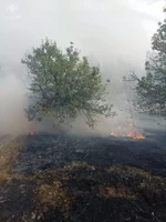 За минулу добу вогнеборці ліквідували 11 загорянь у природних екосистемах області