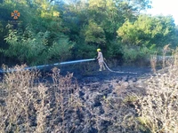 Лубенський район: вогнеборці загасили займання сухої рослинності