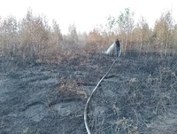 За минулу добу рятувальники Рівненщини ліквідували шість пожеж на відкритих територіях