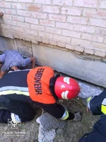Кропивницький район: рятувальники дістали кошеня з -під фундаменту будівлі