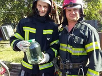 Олександрійський район: рятувальники виловили змію на території приватного домоволодіння