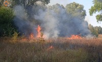 Білоцерківський район: 2 пожежі ліквідовано за 1 день на Сквирщині