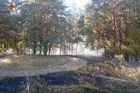 Криворізький район: вогнеборці загасили пожежу на території лісового господарства