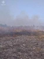 За добу рятувальники Житомирщини ліквідували 8 пожеж сухої рослинності