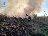 Бориспільський район: рятувальниками ліквідовано пожежу в природних екосистемах