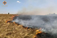 Вогнеборцяи області приборкано 86 пожеж в екосистемах