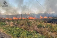 Вогнеборці долають численні пожежі в екосистемах