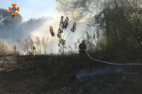 За минулу добу на території області рятувальники ліквідували 21 пожежу в екосистемах