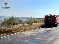Миколаївська область: за чергову добу рятувальниками області ліквідовано 28 пожеж
