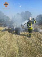 Бориспільський район: ліквідовано загоряння трав'яного настилу