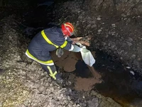 Рятувальники ліквідували пожежу, що сталася внаслідок пориву нафтопроводу