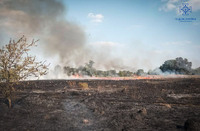 Броварський район: рятувальники продовжують боротися з пожежами в екосистемах