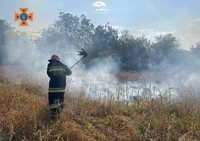 Кіровоградська область: протягом доби, що минула, вогнеборцями ліквідовано 16 пожеж на відкритій території