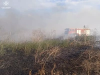 За добу на Миколаївщині виникло 25 пожеж
