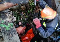 Київська область: рятувальники дістали травмованого чоловіка з бетонного колодязя
