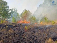 За добу в регіоні виникло 13 пожеж в екосистемах