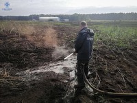 Вишгородський район: за минулу добу рятувальники 3 рази залучались на гасіння пожеж в екосистемах